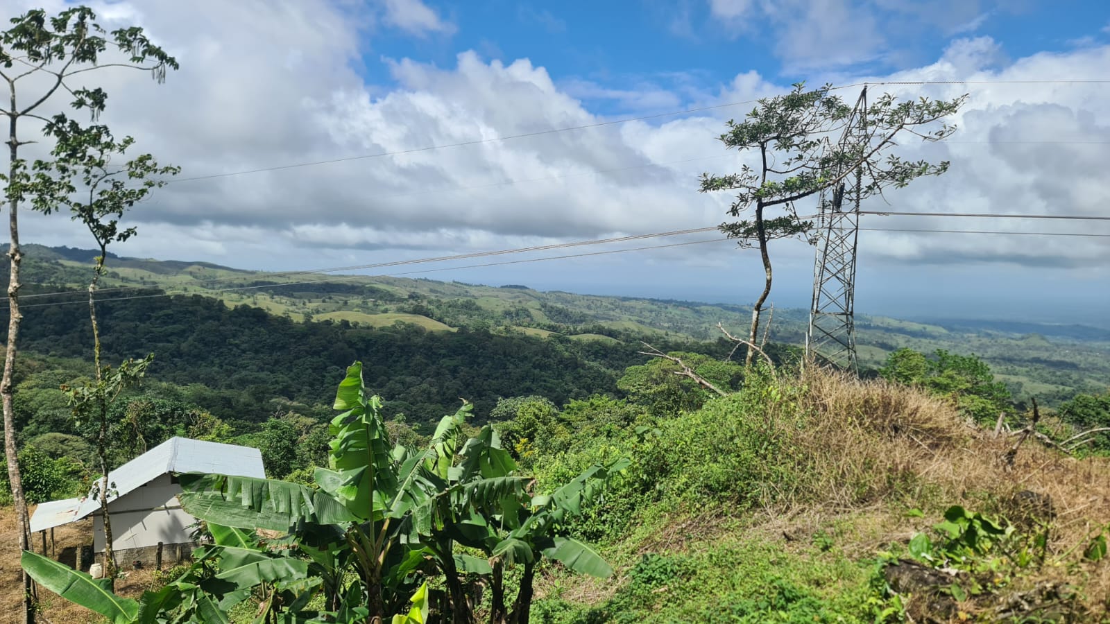33 Hectare (81.5 acre) Property with Volcano Views in San Carlos, Alajuela photo 6