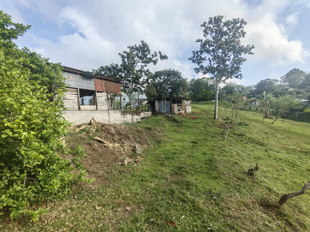 Beautiful Lot of 5461 m2 (1,34 Acre) in downtown Tronadora photo 10