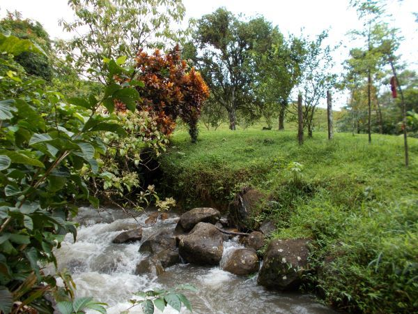 168 acres (68 hectares) of natural peace and tranquility with four cabins photo 13