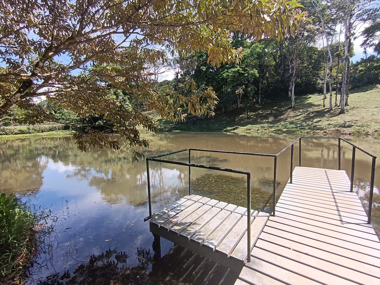 Beautiful Home 2BD 1BA in a 19424.9 m2 (4.8 Acre) Lot w/ Private Spring  photo 21