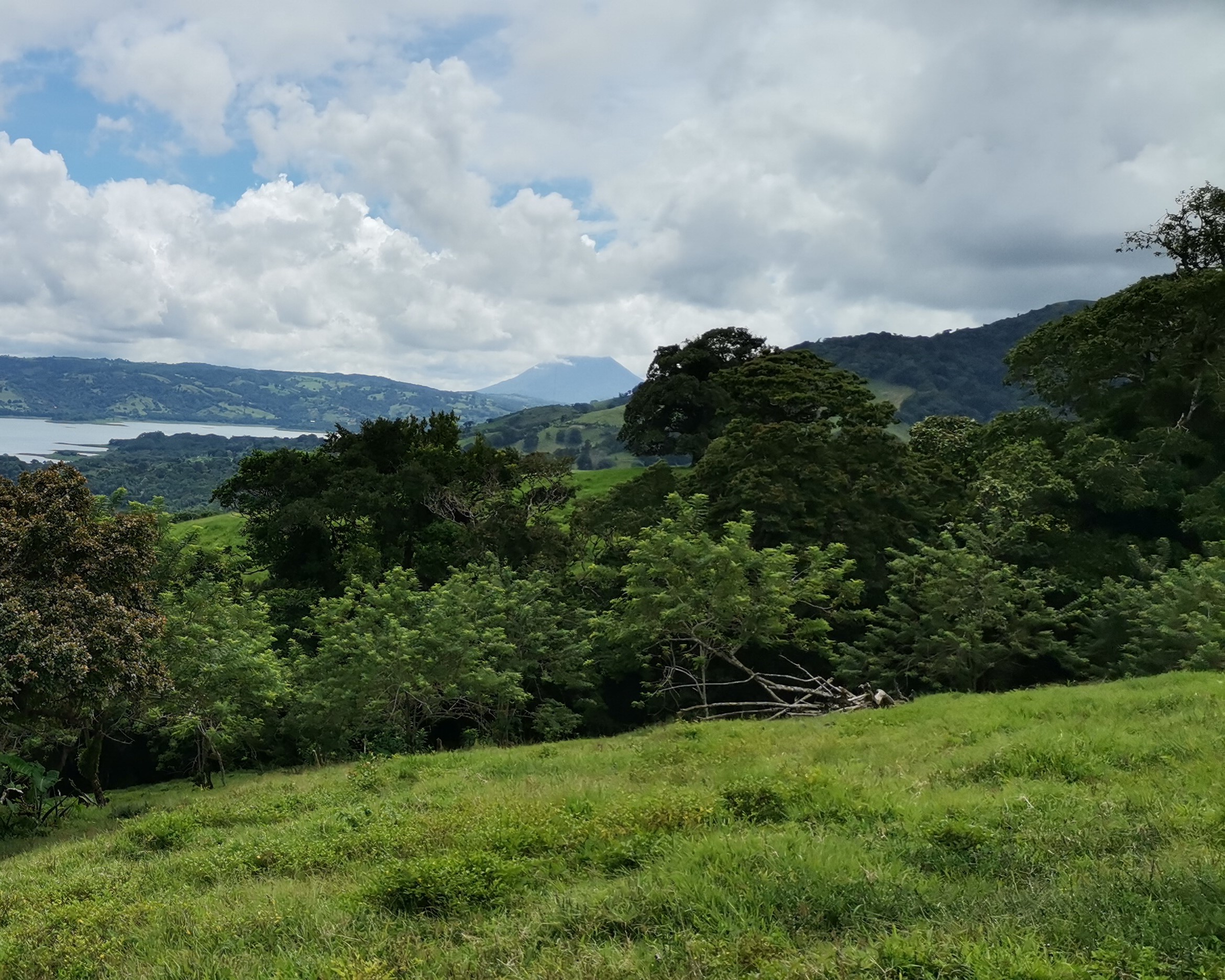 Magnificent 24,811m2 Lake and Volcano View Parcel with Huge Views in Tronadora photo 9