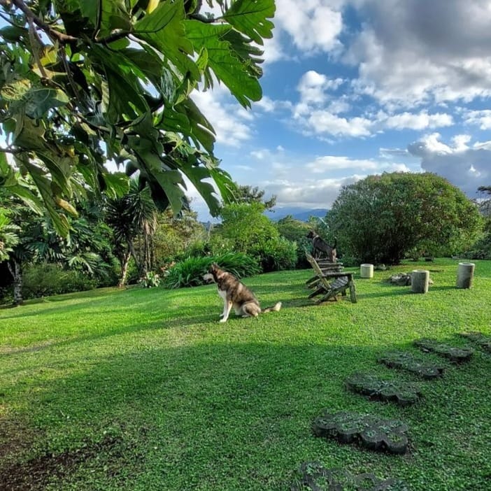 Beautiful, 2 Story, 3BD, 1BA A-Frame Home with Lake and Volcano Views- Nuevo Arenal photo 23