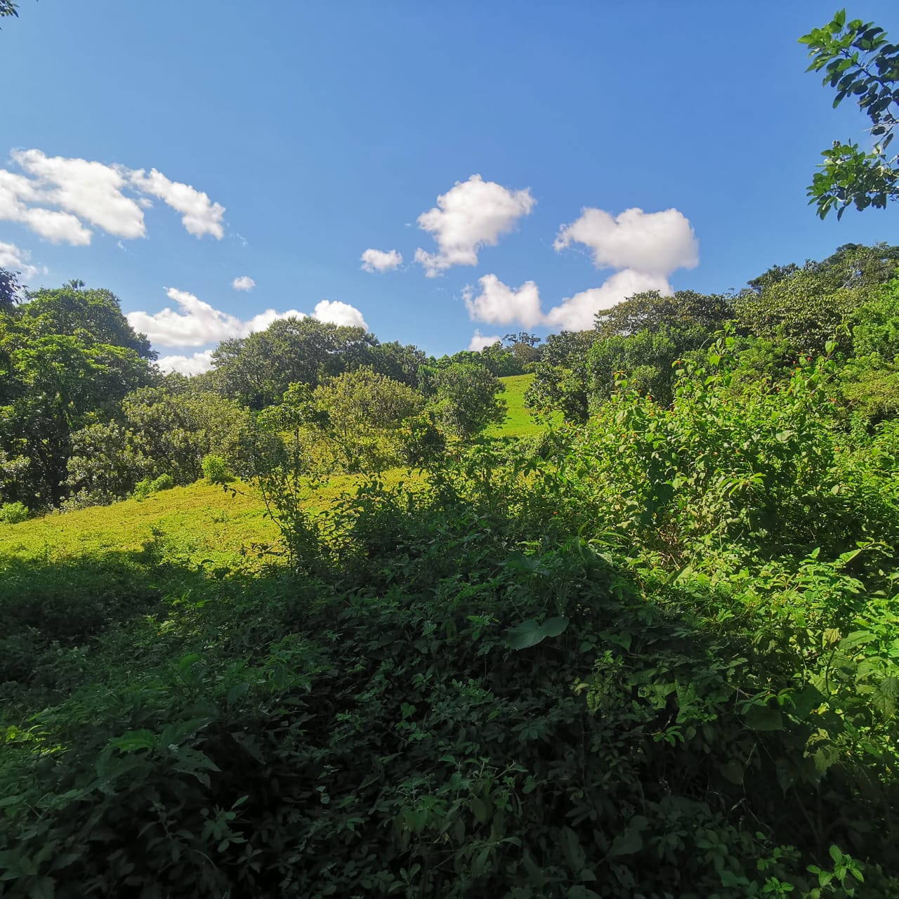 Exceptional 14,445 m² Lot in La Unión, Arenal – Views of Lake Arenal photo 16