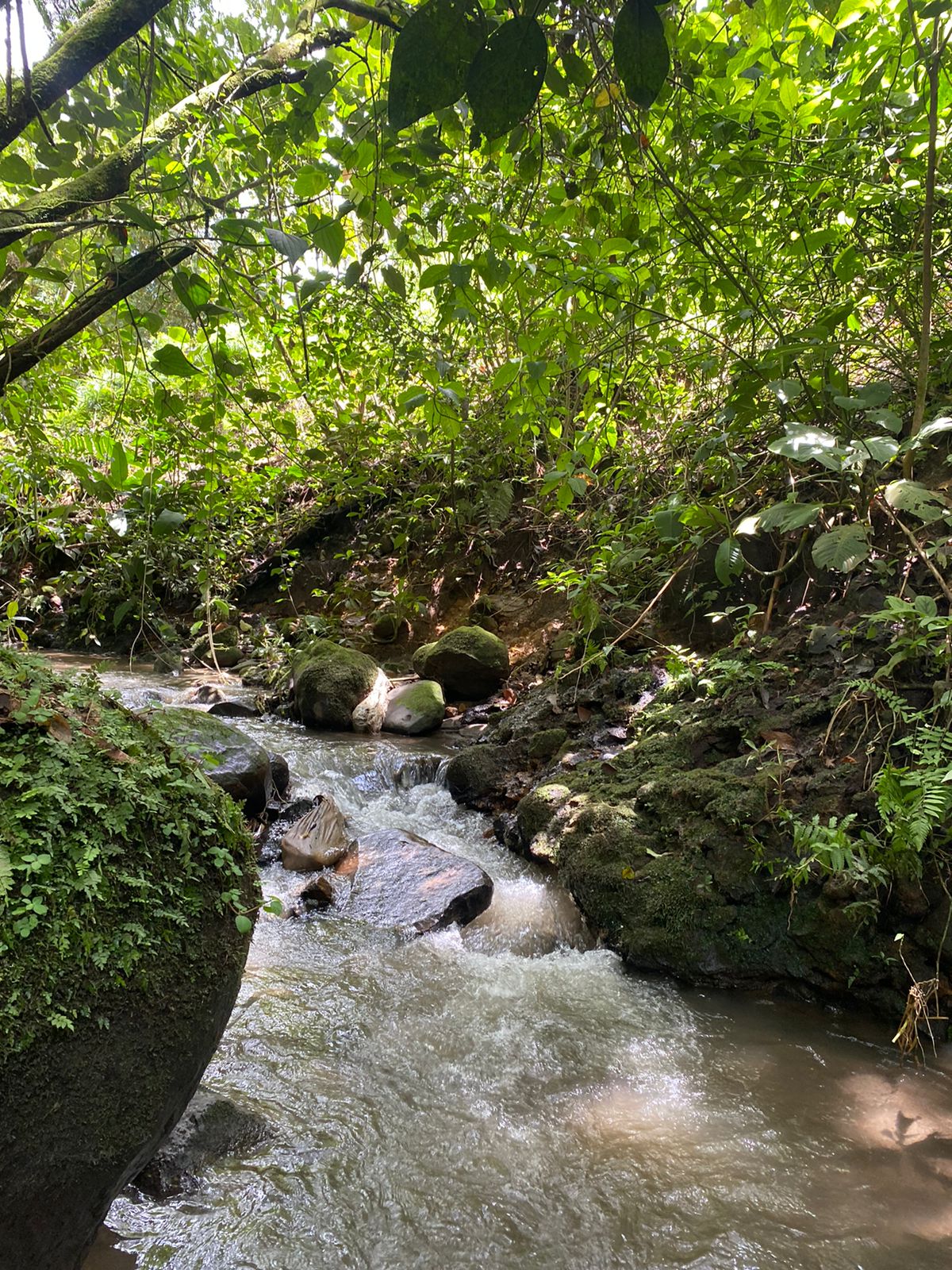 2744 M2 (0,18 acre) Building Lot with Creek In El Silencio, Tilarán photo 6