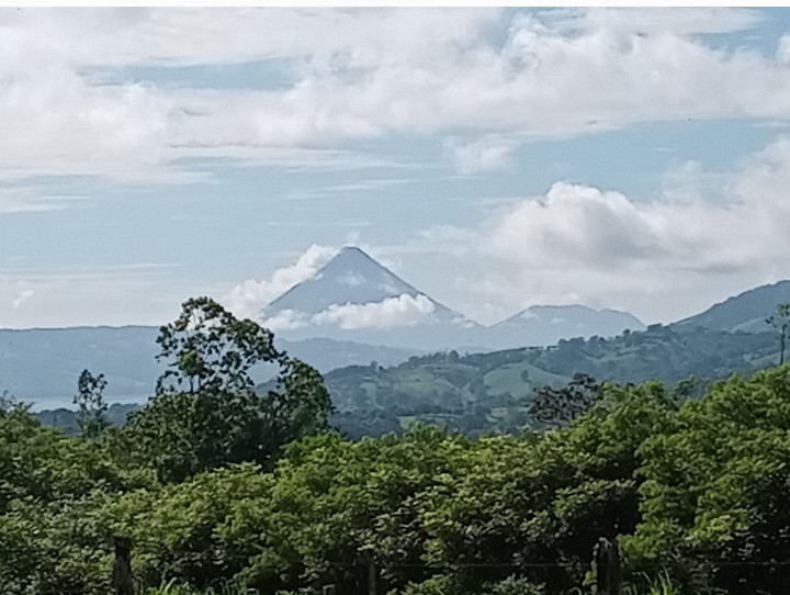 Commercial property: main house + 5 cabins + greenhouse + stable in Cinco Esquinas  photo 92