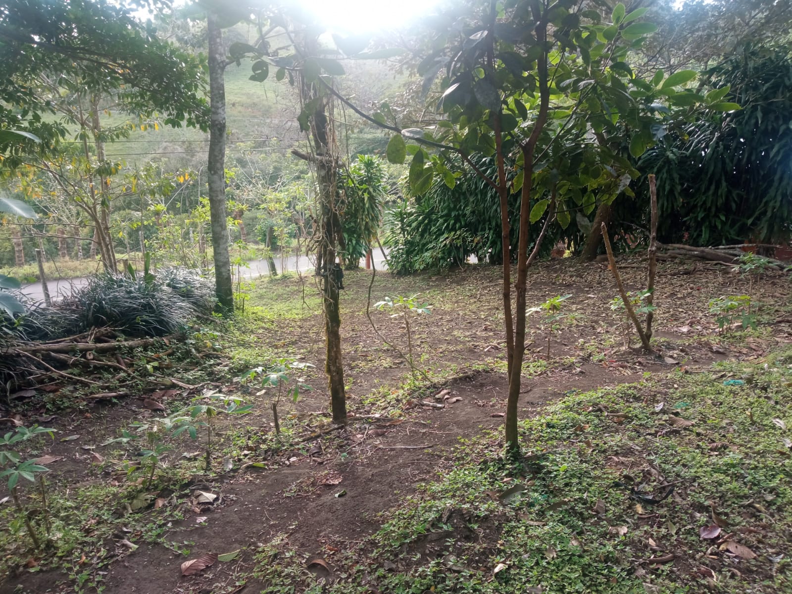 Beautiful, 1407 m2 (0,34 acres) Lot in Parcelas de Quebrada Azul, Tilarán photo 19