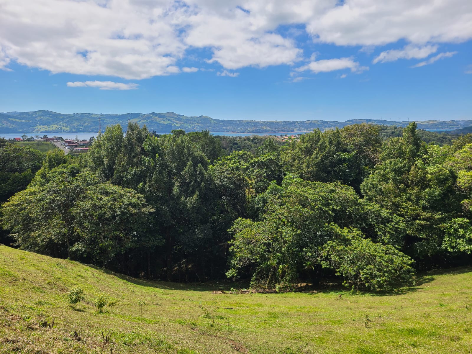 35,000 Sqm Property with Spectacular Lake Arenal View and Ravine photo 17