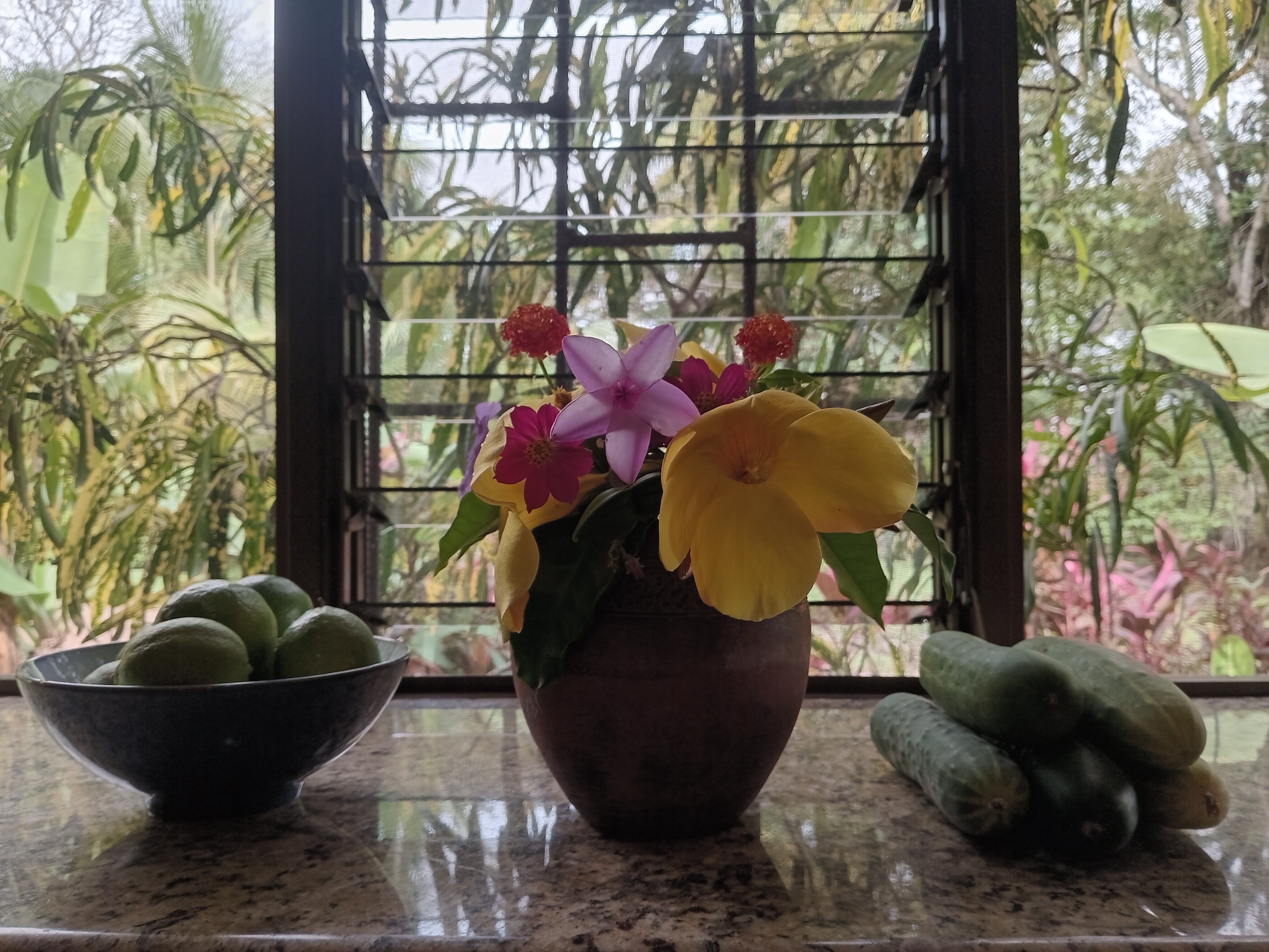 Commercial property: main house + 5 cabins + greenhouse + stable in Cinco Esquinas  photo 13