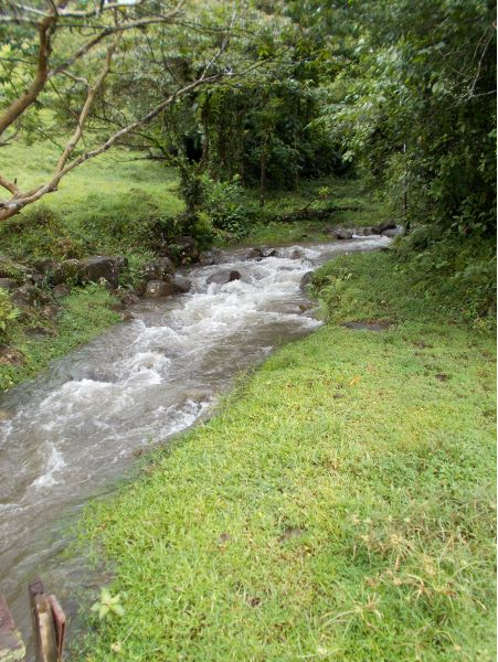 168 acres (68 hectares) of natural peace and tranquility with four cabins photo 14