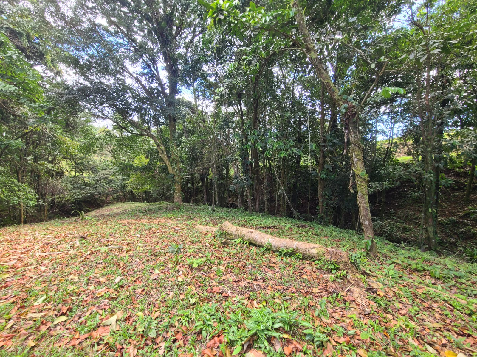 35,000 Sqm Property with Spectacular Lake Arenal View and Ravine photo 6