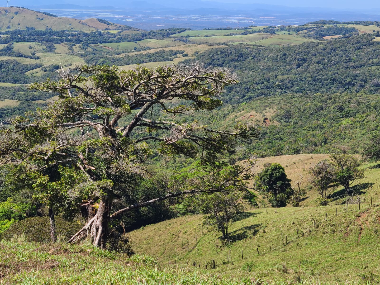Spectacular 41,700 Sqm Property with Breathtaking Views in Río Piedras photo 13