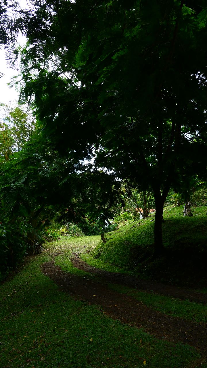 A very unique 1 Bedroom/1 Bathroom Boat House with lake access photo 16