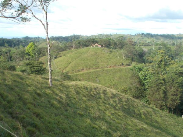 168 acres (68 hectares) of natural peace and tranquility with four cabins photo 17