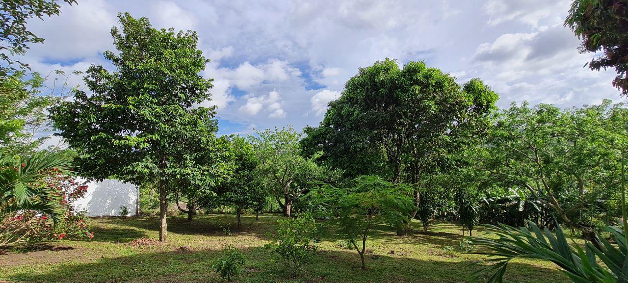 Lakeview Home 4BD 2BAw/ Lake Access, Development Potential & BMW  photo 26