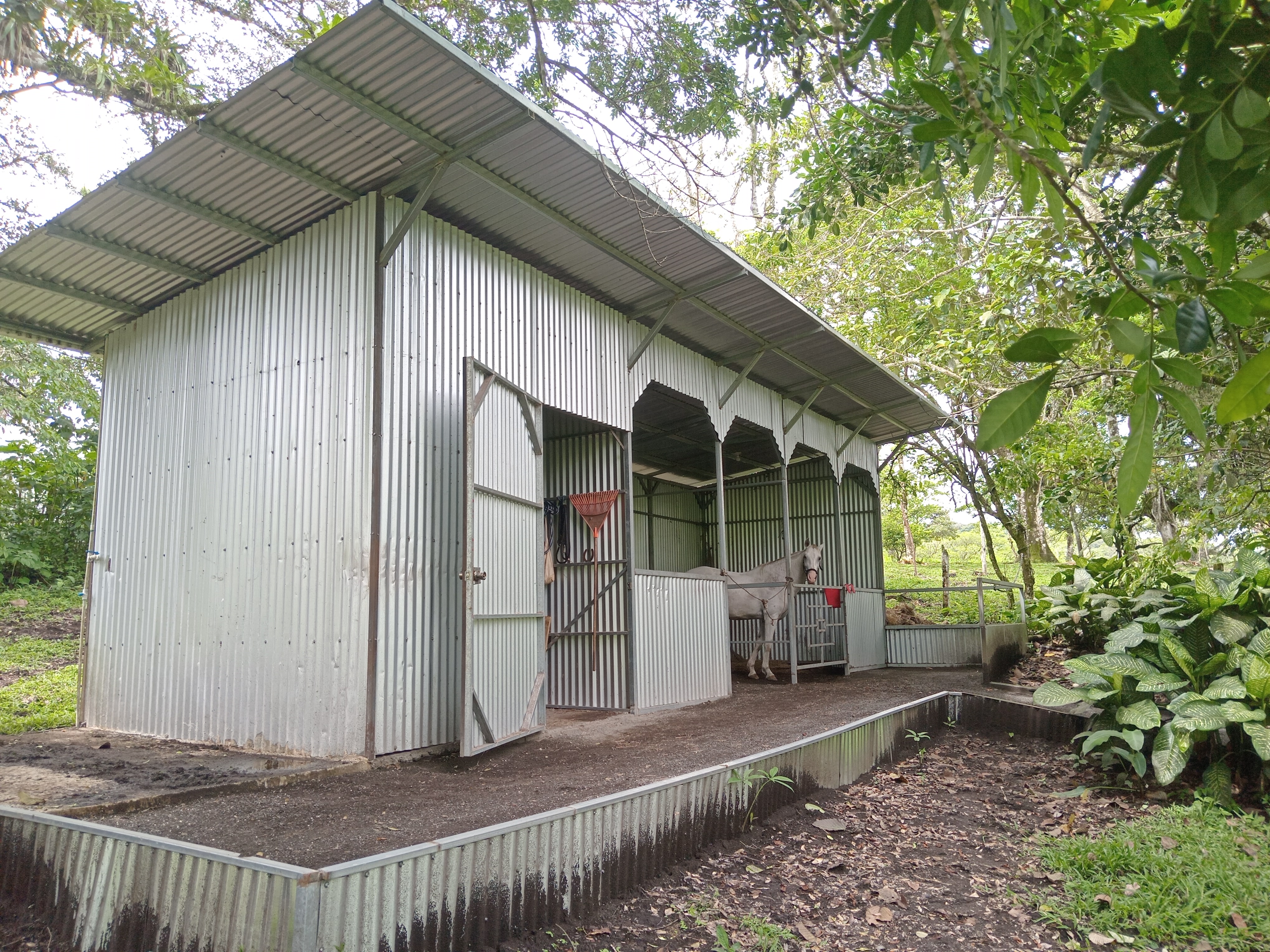 Commercial property: main house + 5 cabins + greenhouse + stable in Cinco Esquinas  photo 64