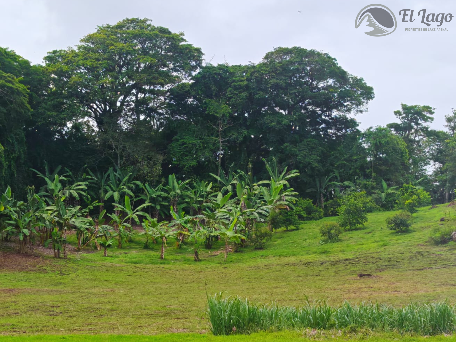 Luxury Estate w/ 8 BD, 9 BA, Private Forest, and Development Potential photo 97