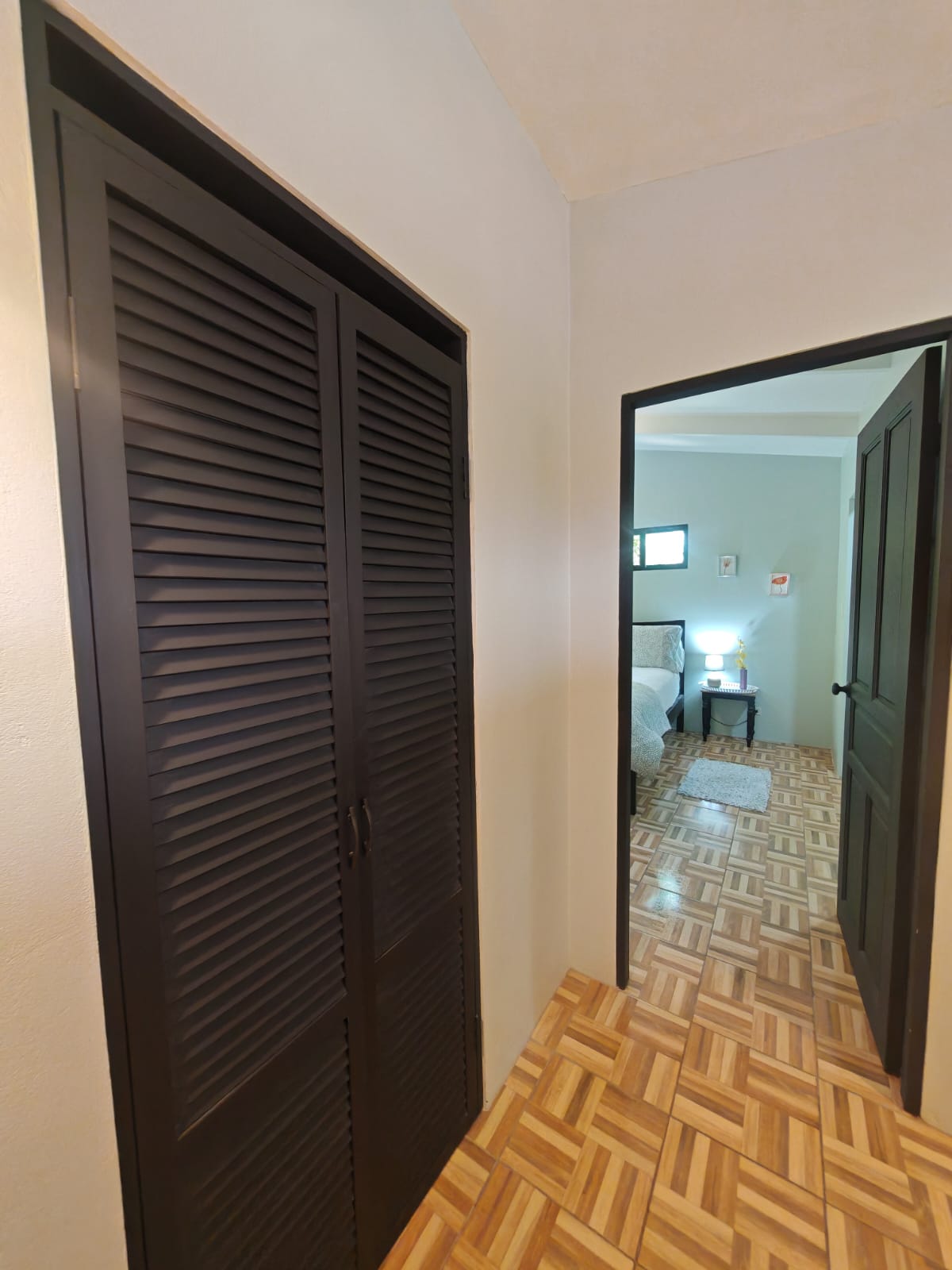Spacious & Stylish Home 3BD 2BA + Apartment, Fully Furnished In Tronadora photo 23