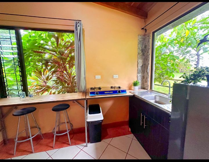 Commercial property: main house + 5 cabins + greenhouse + stable in Cinco Esquinas  photo 56