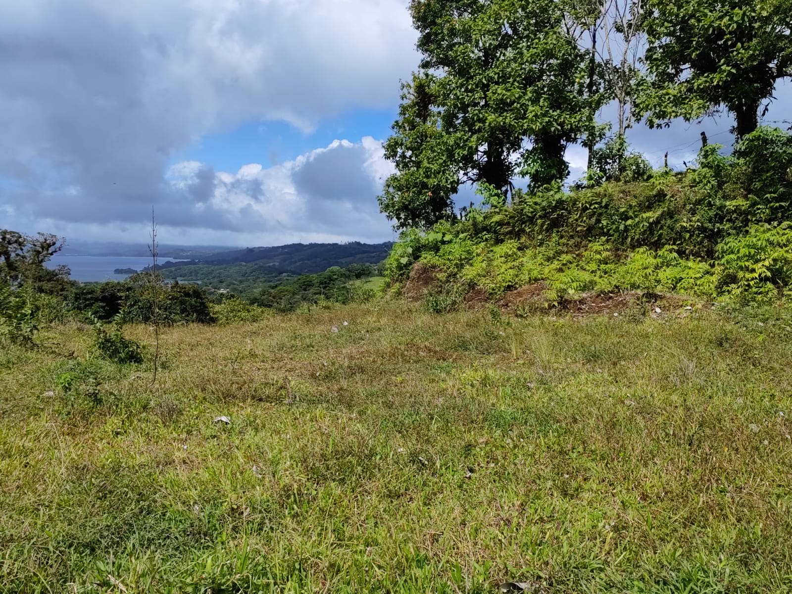 33,691 m² property with Amazing Views and Private Waterfall in La Union  photo 10