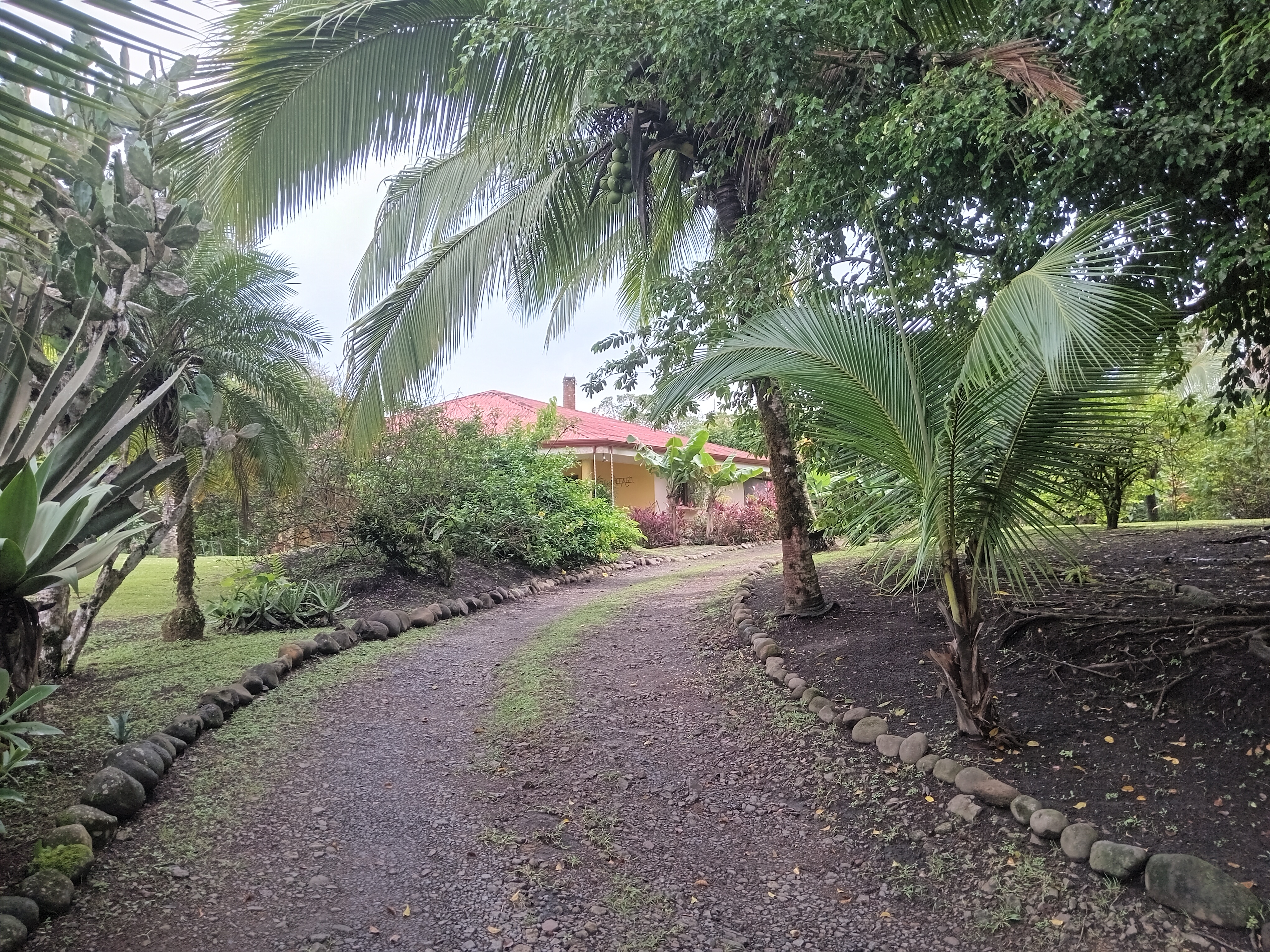 Commercial property: main house + 5 cabins + greenhouse + stable in Cinco Esquinas  photo 77