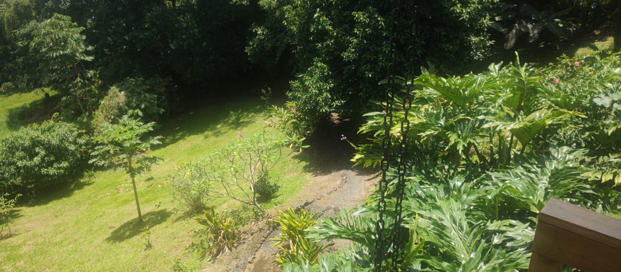 Stunning 2-bedroom, 2-bathroom home with Pool and Lake Arenal Views photo 27