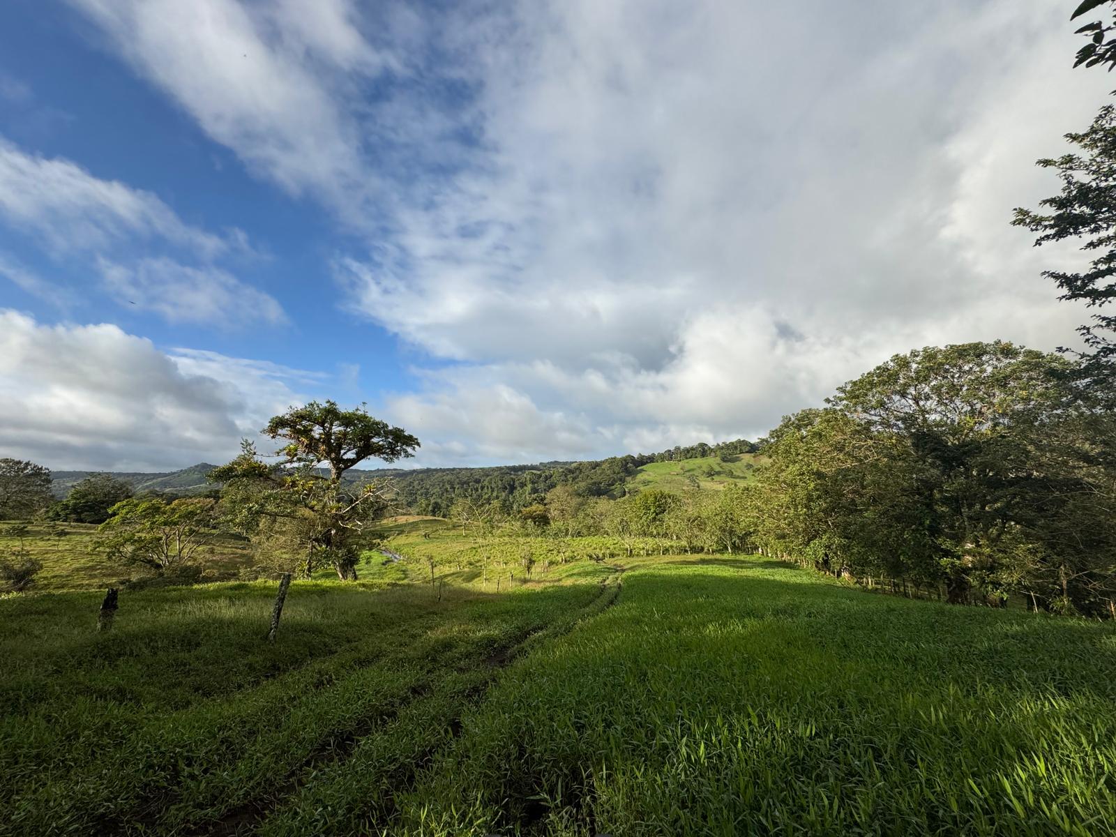 Expansive Self-Sufficient Farm Overlooking Lake Arenal in Nuevo Arenal photo 10