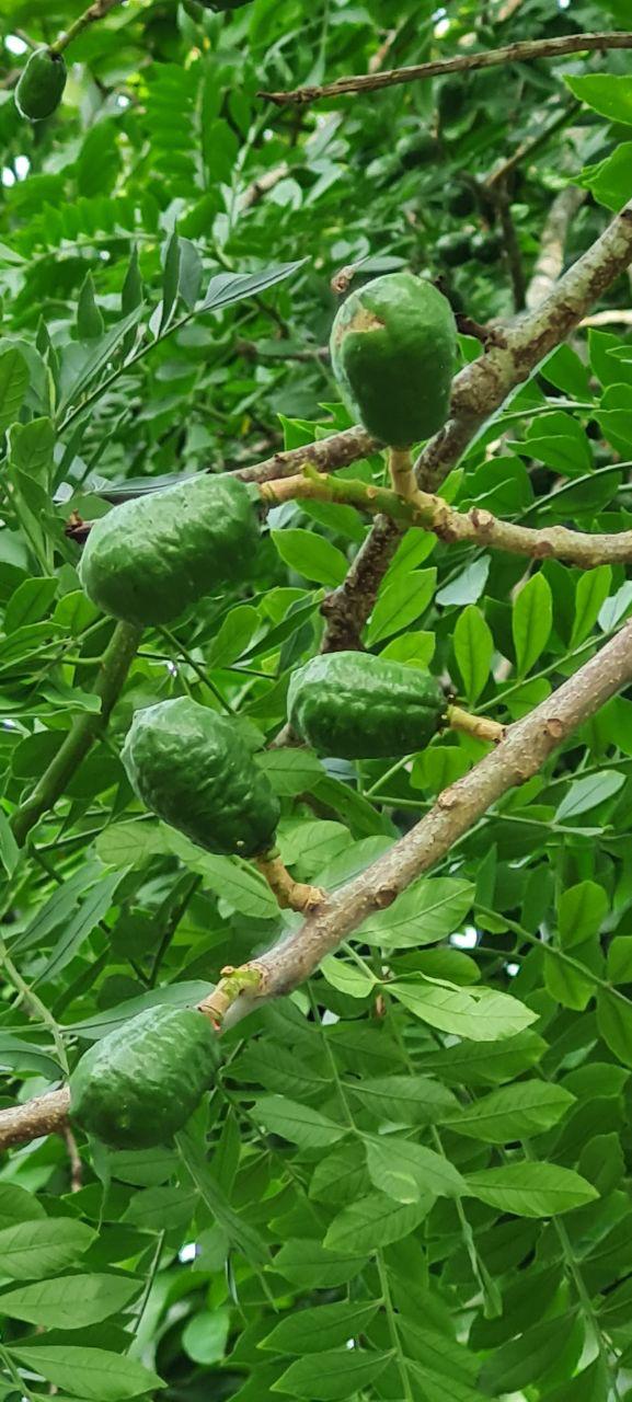 Lakeview Home 4BD 2BAw/ Lake Access, Development Potential & BMW  photo 22