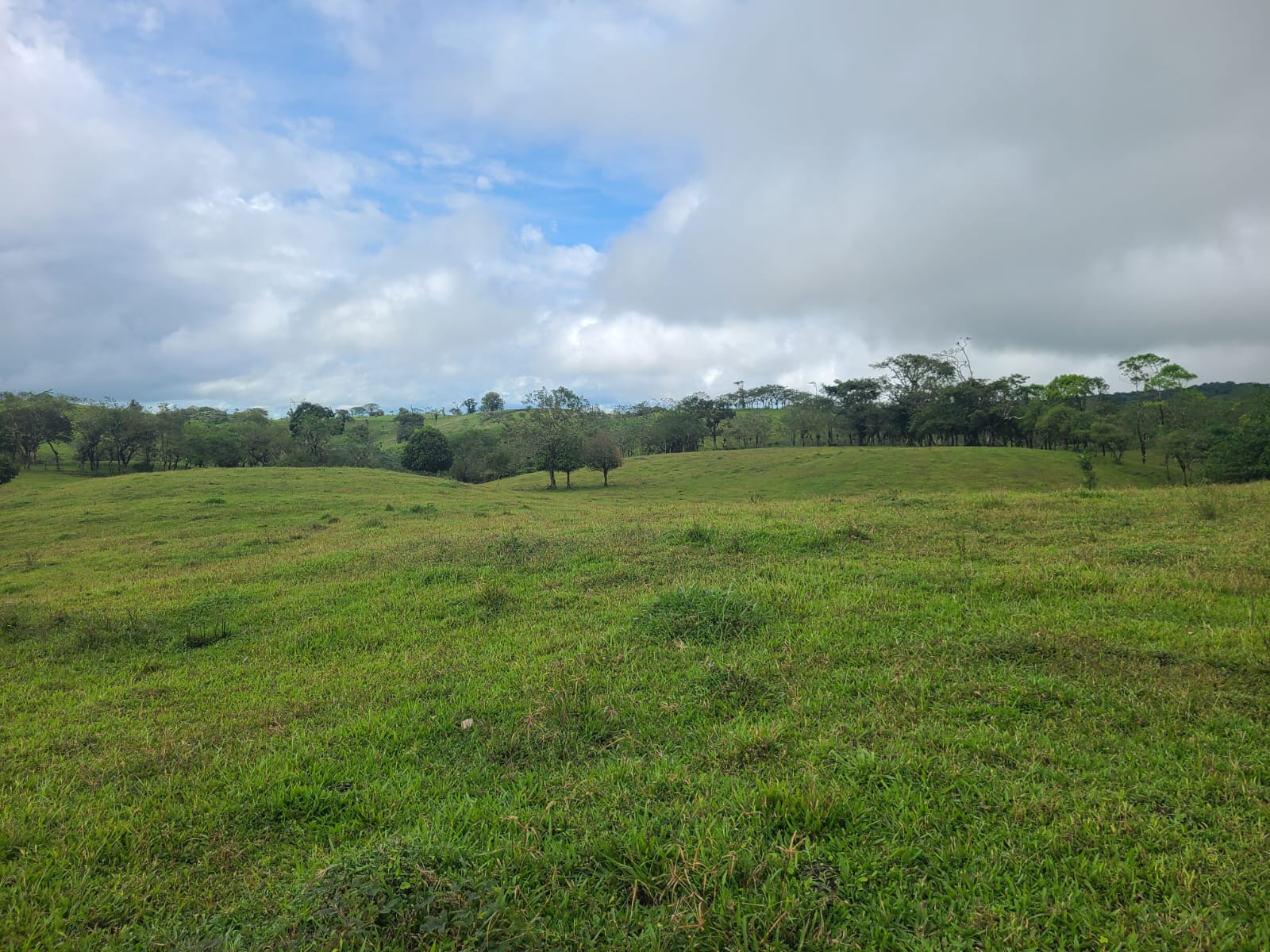 Spectacular 105-Hectare Lot with Lakes, Mountain Views, & Natural Resources  photo 9