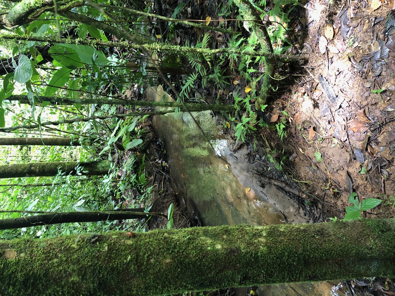 Casa Pink Sky 3BD 3BA – A Private Sanctuary with Volcano & Mountain Views photo 44