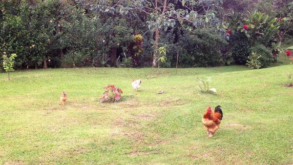 168 acres (68 hectares) of natural peace and tranquility with four cabins photo 28