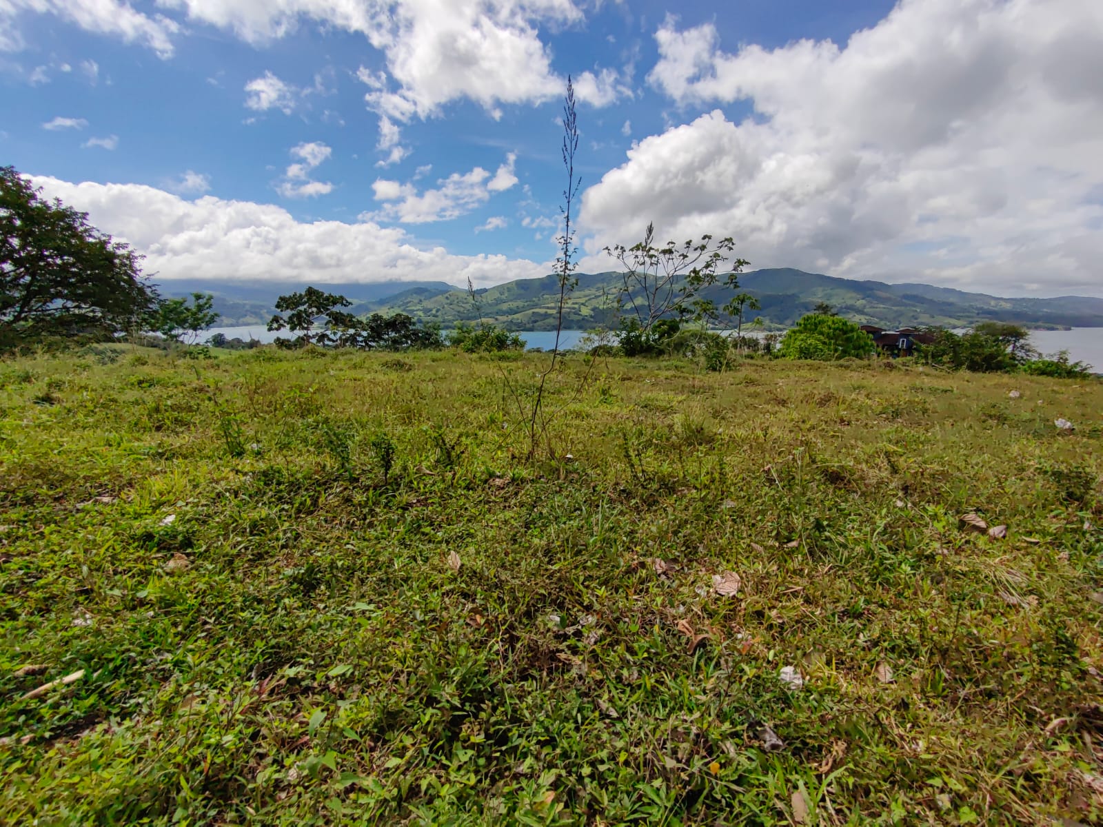 33,691 m² property with Amazing Views and Private Waterfall in La Union  photo 14
