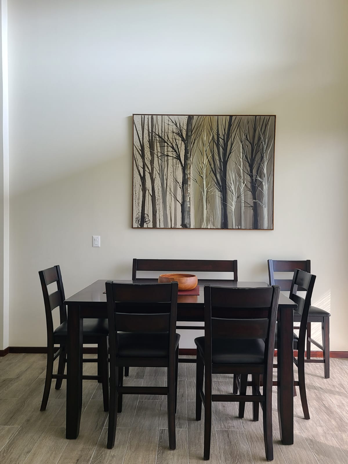 Lake View Home 2BD 2BA + Office + Gym in San Antonio, Nuevo Arenal photo 8