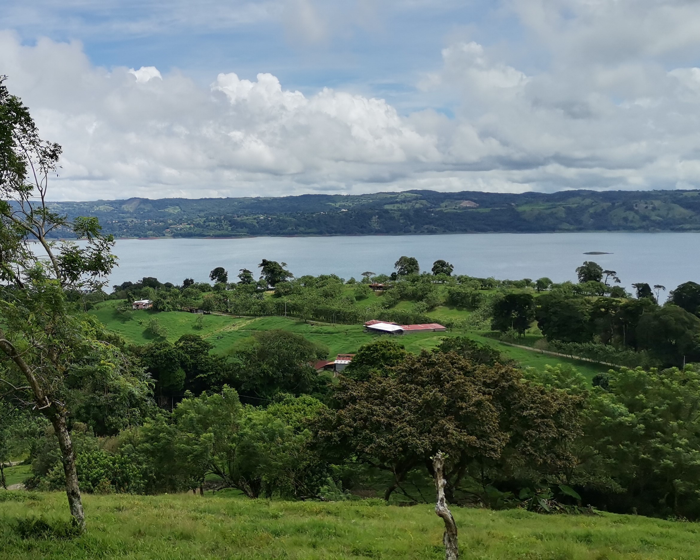 Magnificent 24,811m2 Lake and Volcano View Parcel with Huge Views in Tronadora photo 12
