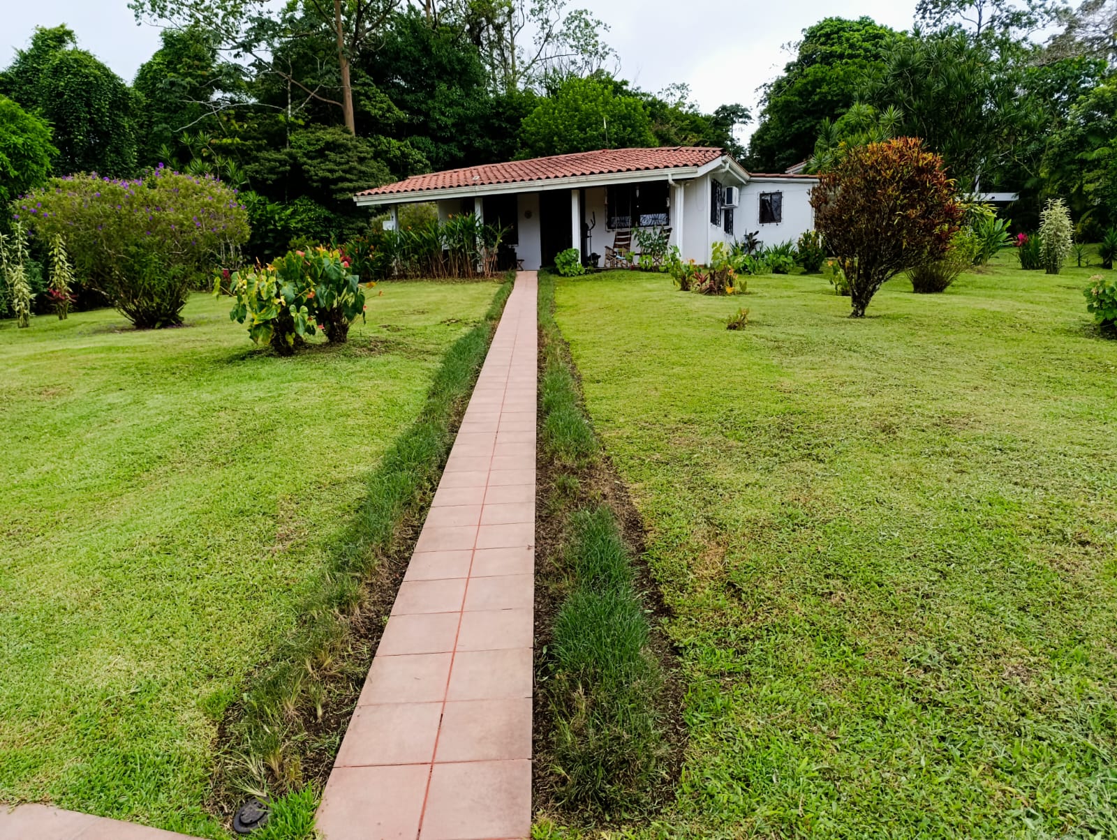 Beautiful 3 BD 2 BA Home in a 8 Acre Lot with Pool and Lake View photo 23