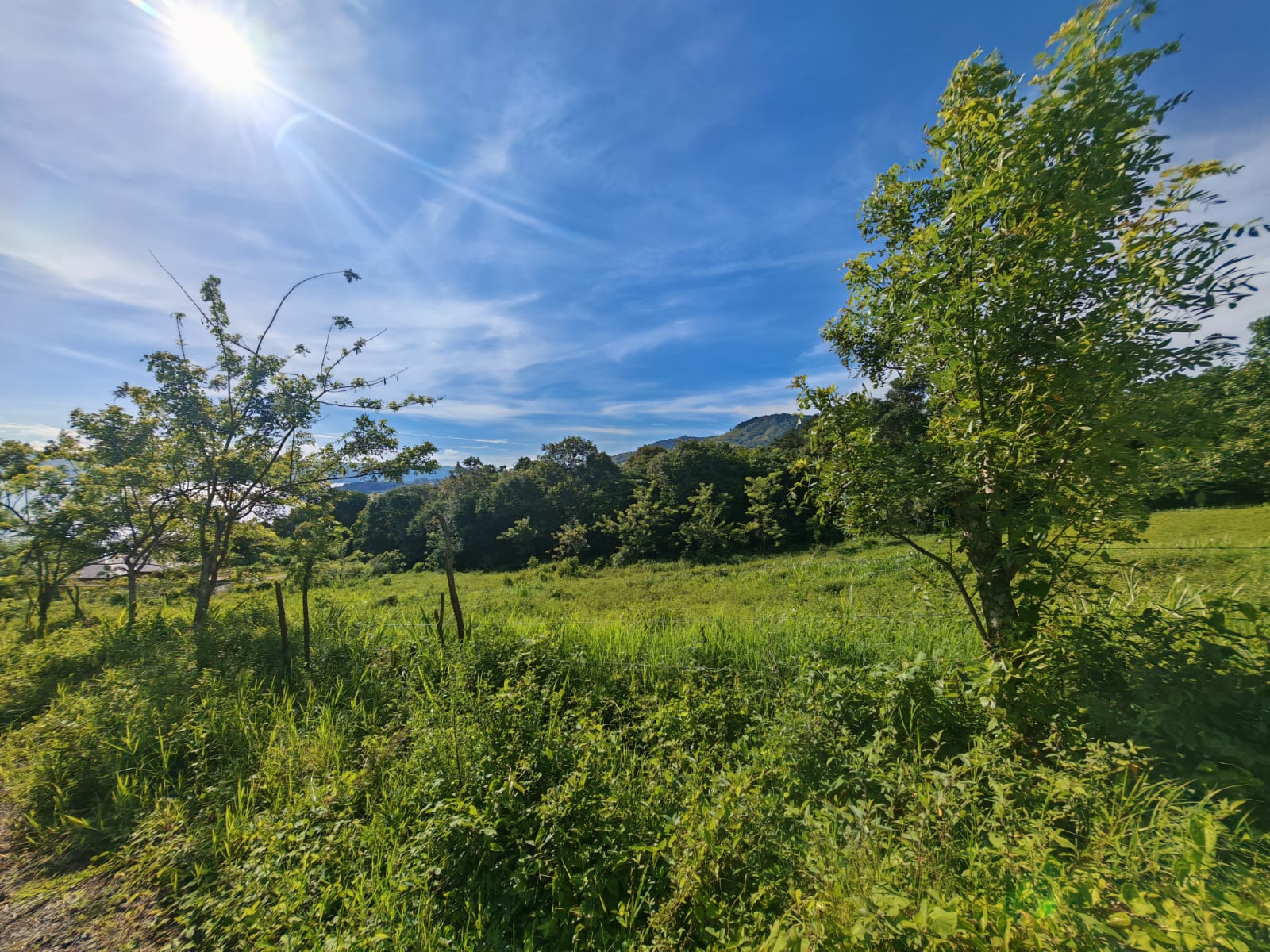 Beautiful 5,058 m² (1.25-Acre) Lot w/ Lake & Volcano View In Tronadora photo 8