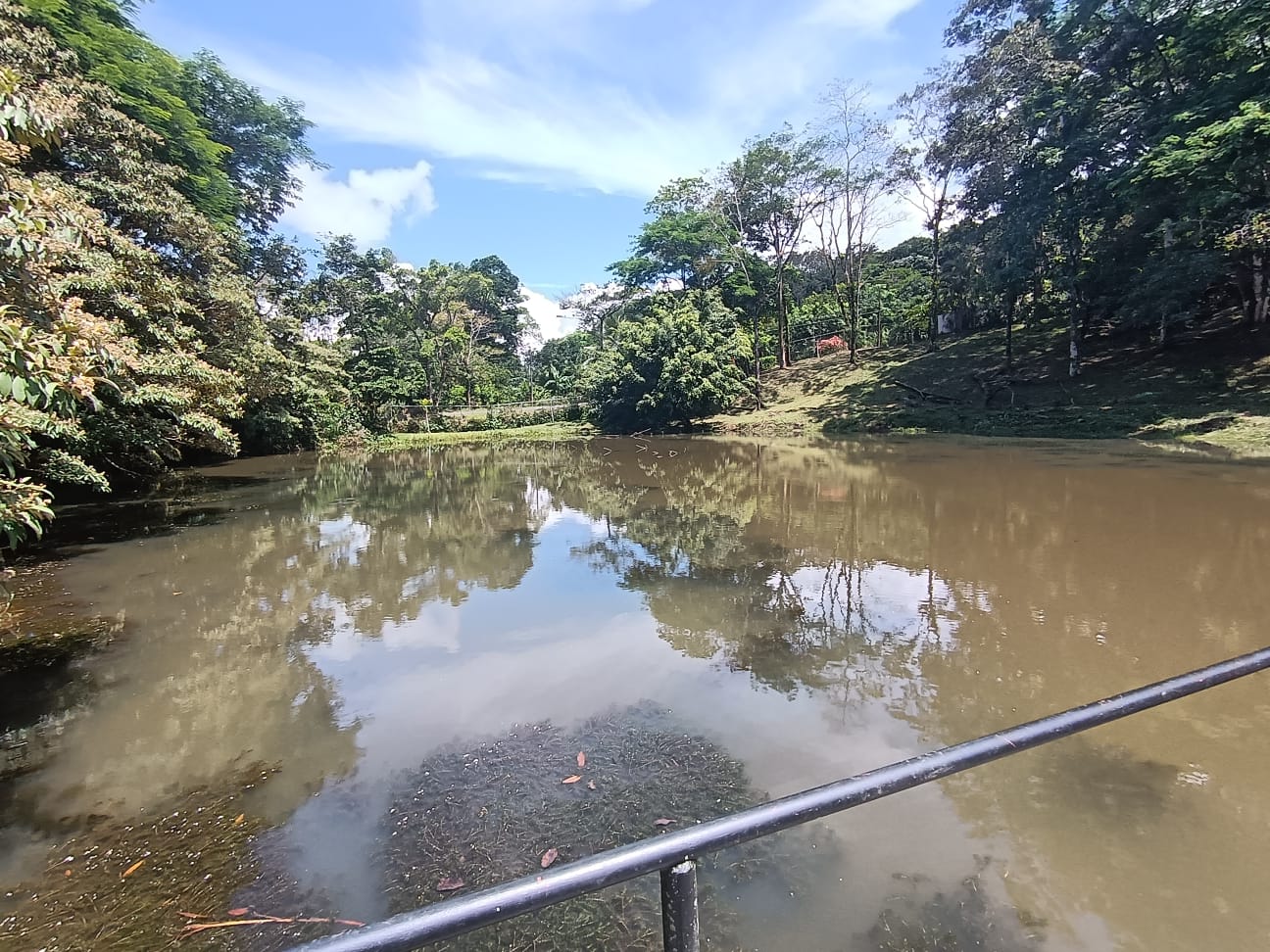 Beautiful Home 2BD 1BA in a 19424.9 m2 (4.8 Acre) Lot w/ Private Spring  photo 23