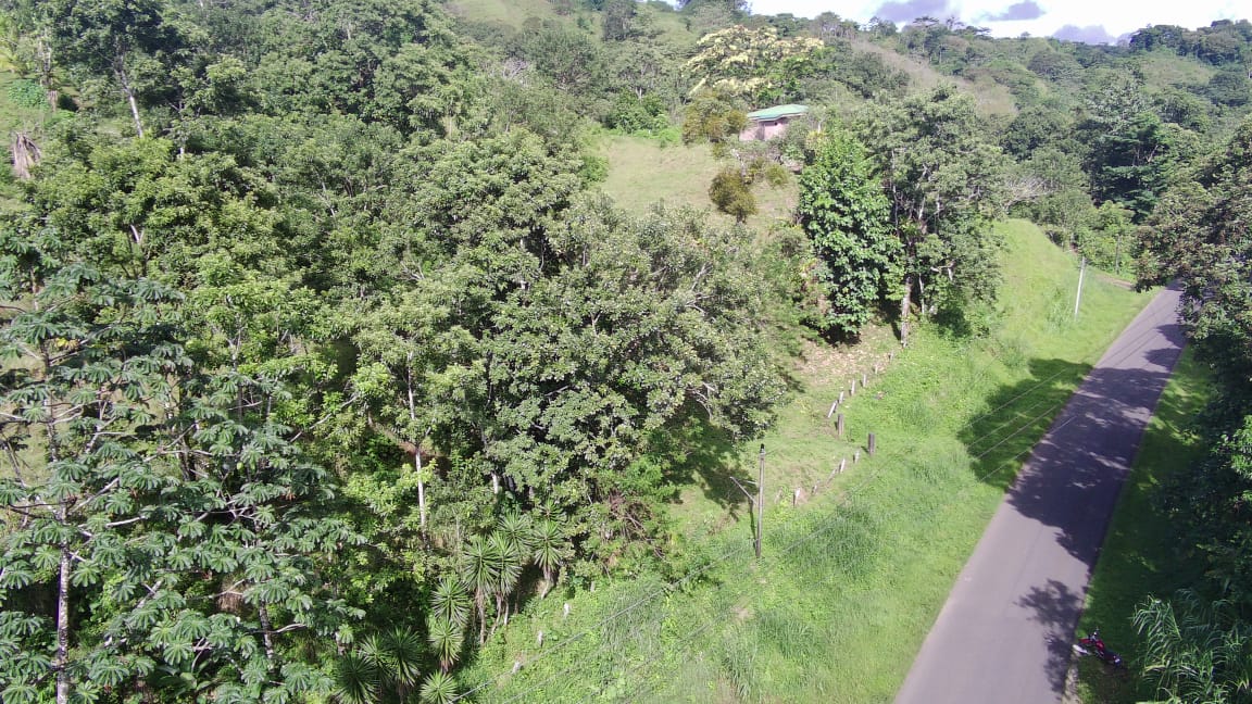 Exceptional 14,445 m² Lot in La Unión, Arenal – Views of Lake Arenal photo 17