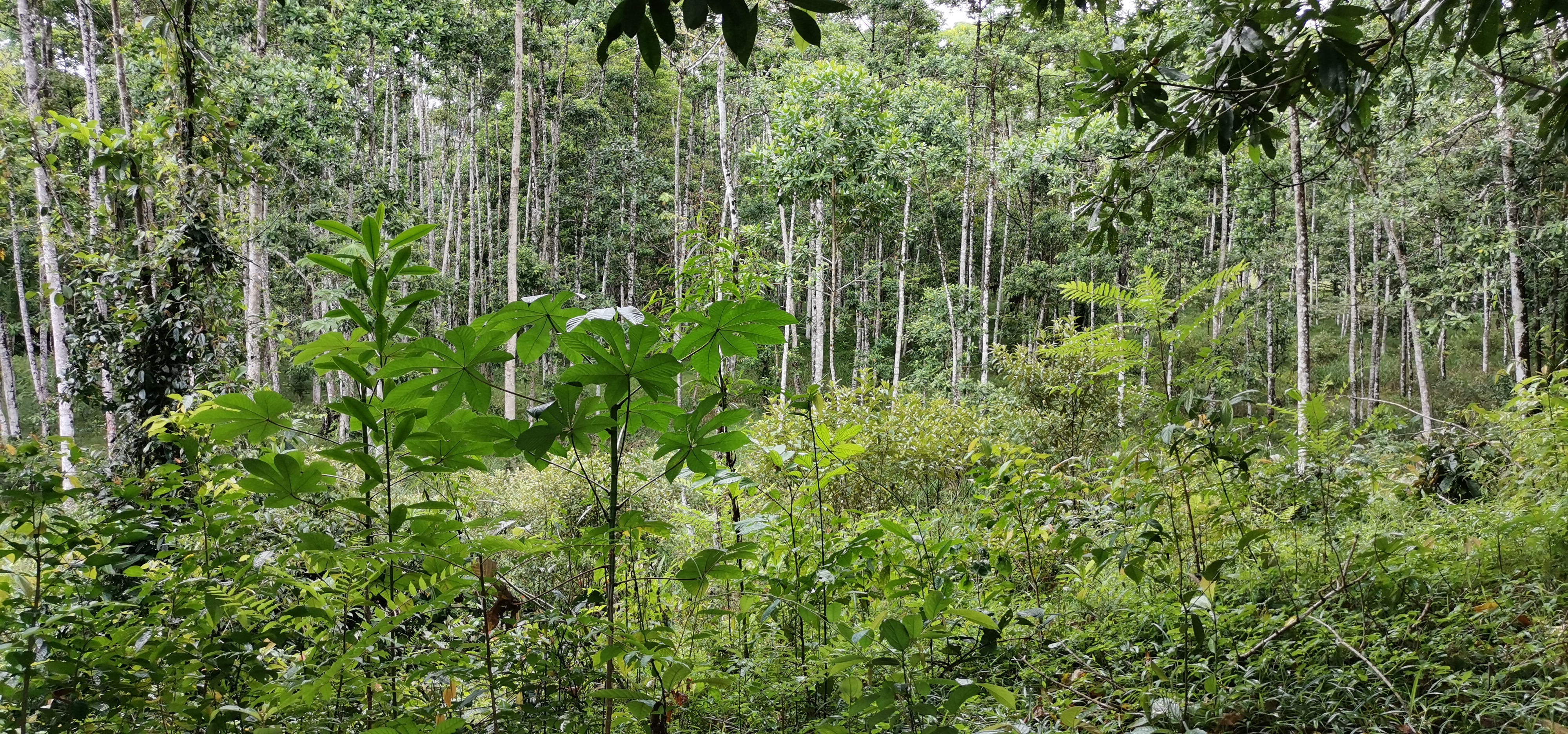 Fully Furnished 2 Bedroom 2 Bathroom Home On Cote River  photo 33