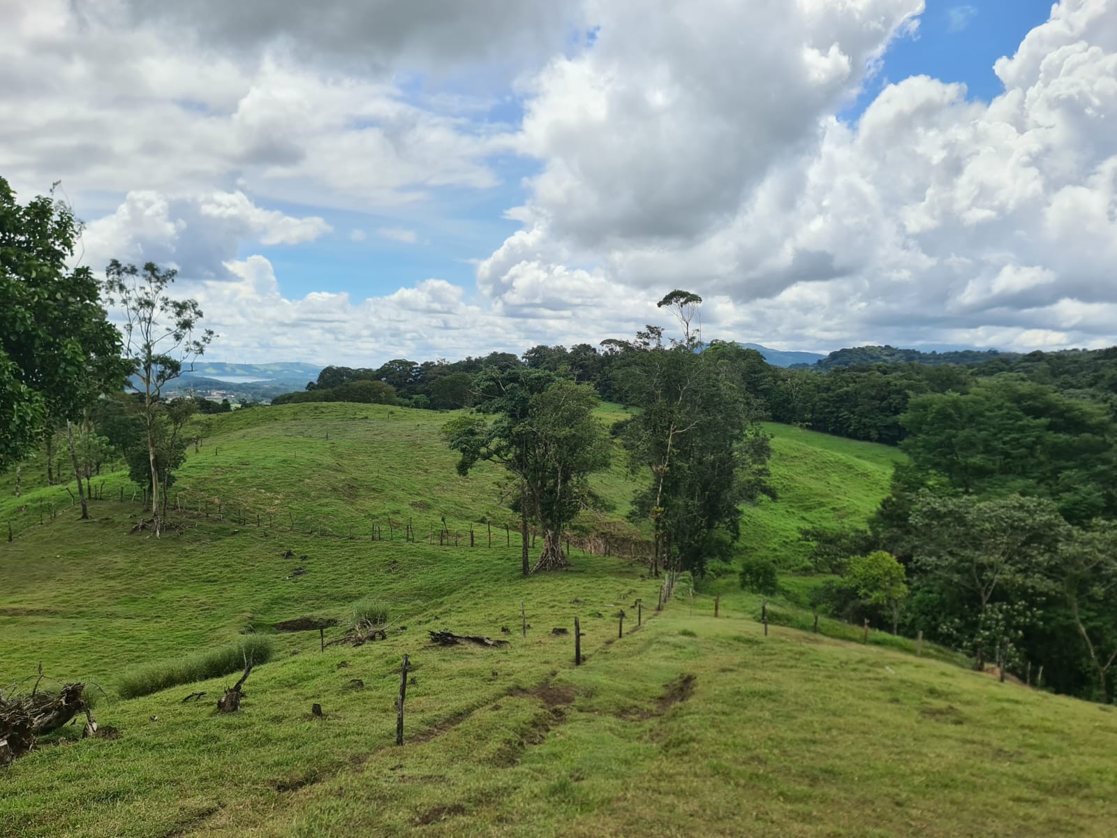 81,500 m2 (20.13 Acre) Lot with Lake and Volcano View in Nuevo Arenal photo 9