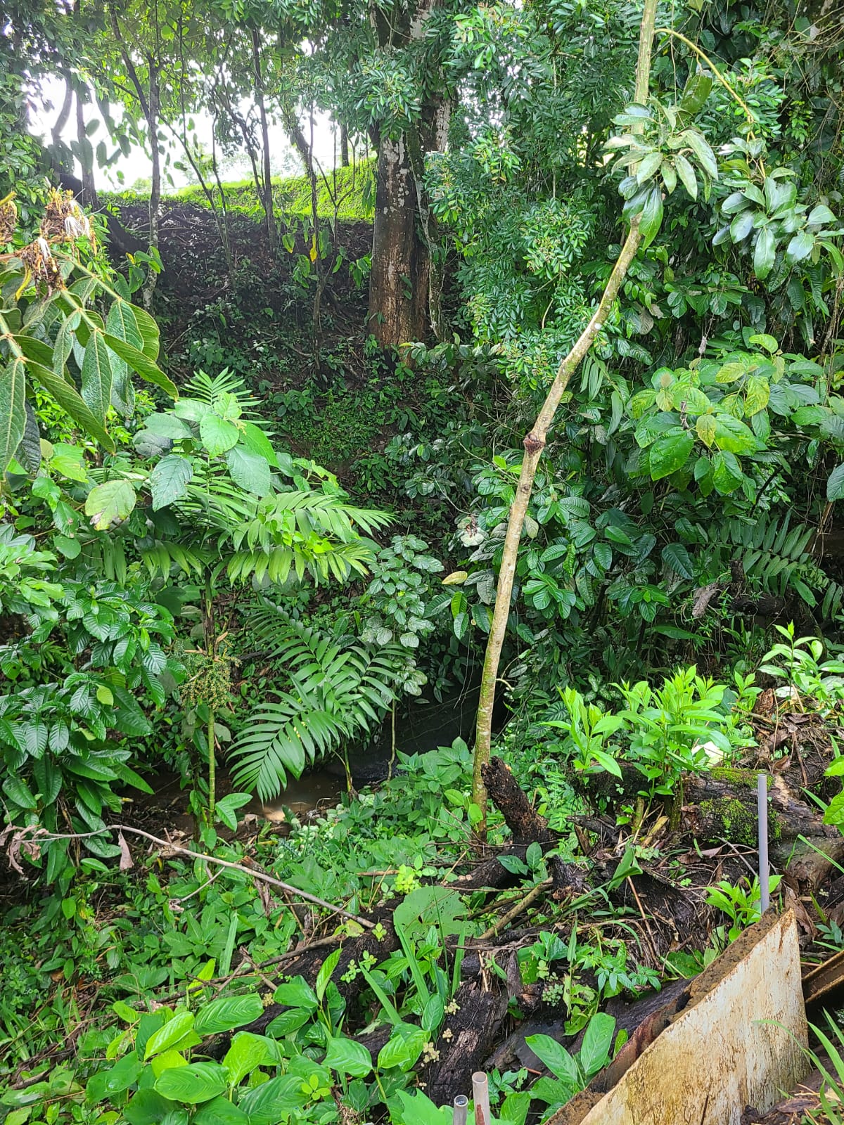 Lovely 2 Bedrooms 1 Bathroom Home In Arenal Downtown photo 16