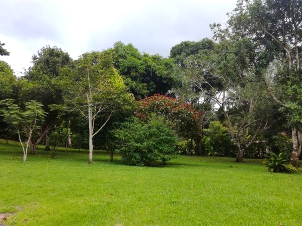 Gorgeous Property with Enormous Income Potential Near Lake Arenal! photo 46