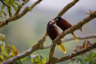 Casa Pink Sky 3BD 3BA – A Private Sanctuary with Volcano & Mountain Views photo 39