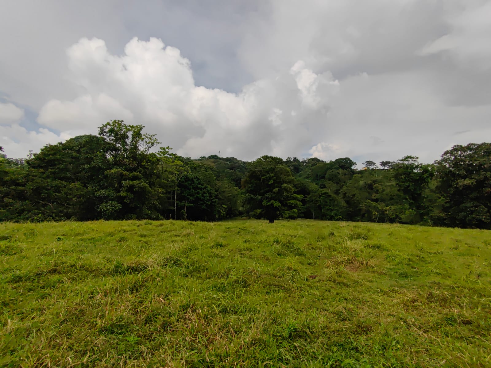 Finca La Tortuga – A Developer’s Dream! Lake Arenal View 5.7 Hectare Farm photo 8