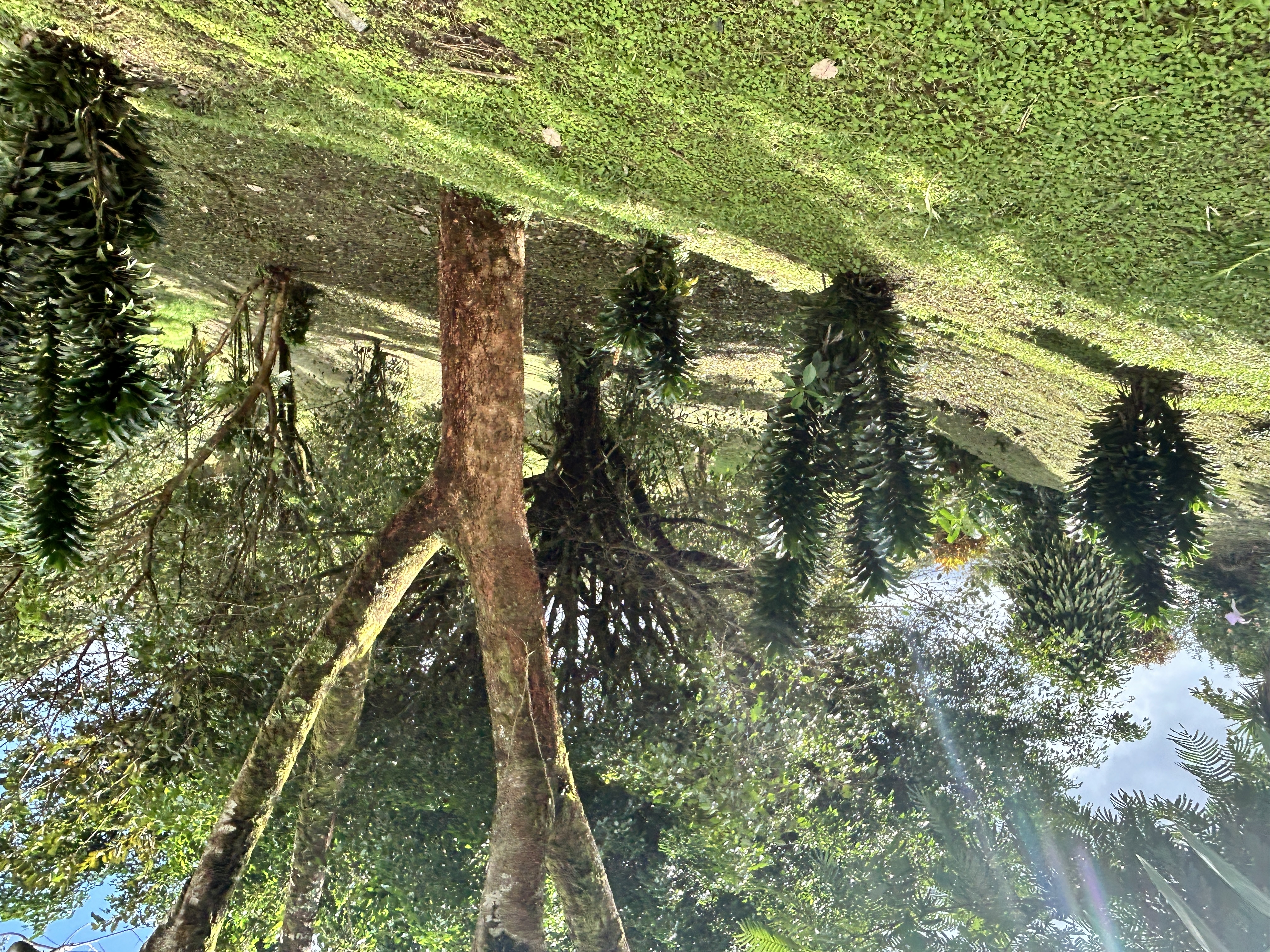 Charming 3-Bedroom Home with Guest House & Stunning Lake Arenal Views  photo 29