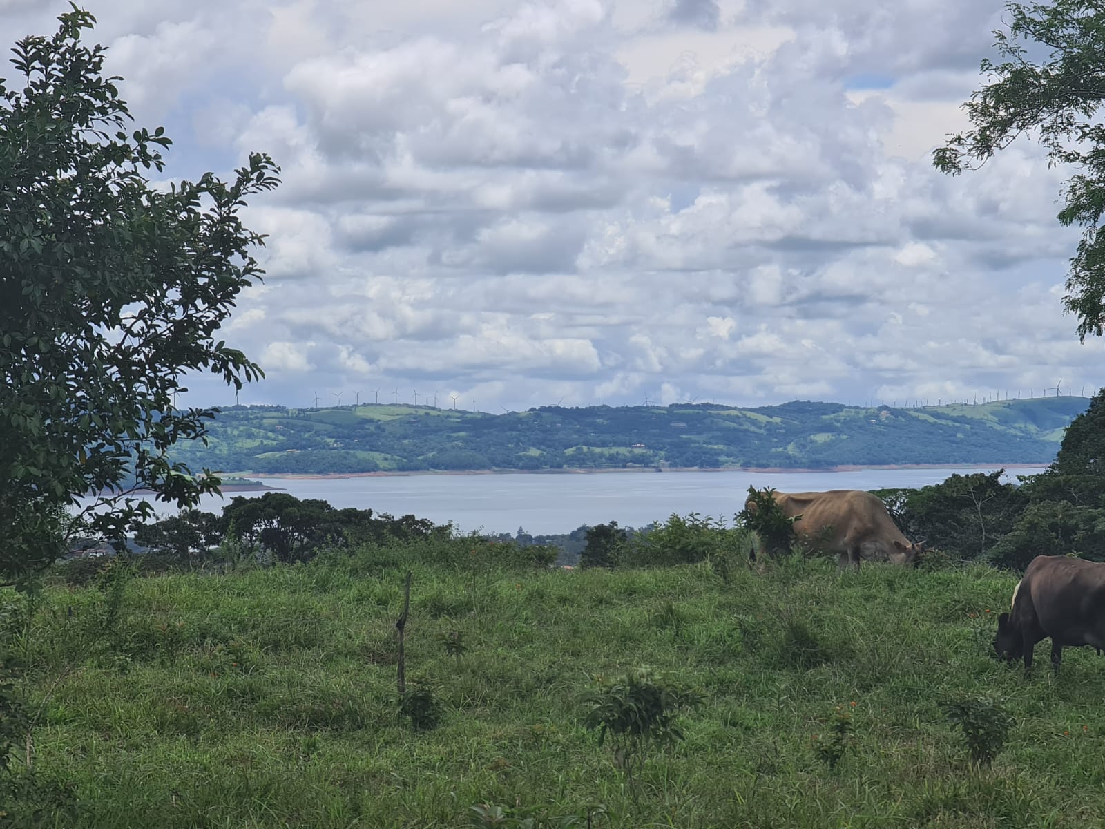 81,500 m2 (20.13 Acre) Lot with Lake and Volcano View in Nuevo Arenal photo 7
