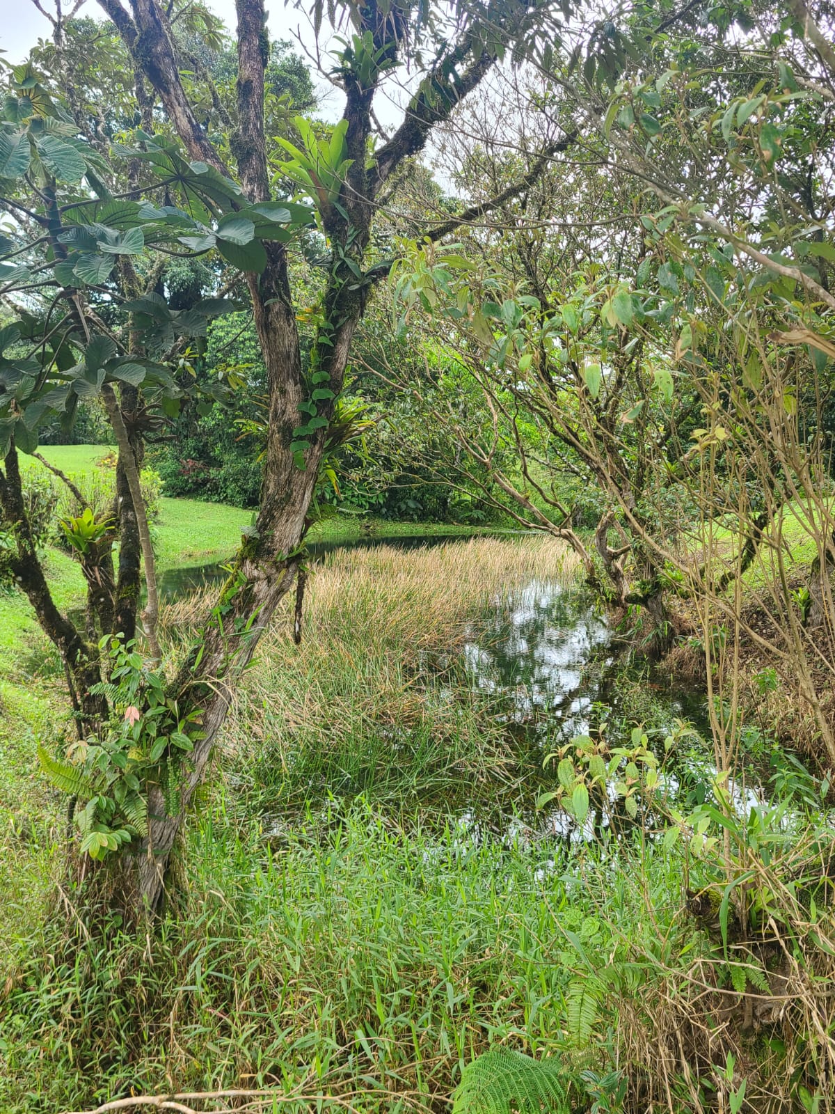 Charming Home 2Bedroom 2Bathroom in Bella Vista Gated Community photo 20