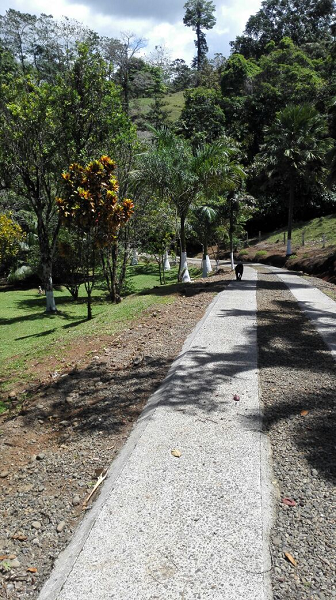 Beautiful 5 Bedroom 3 Bathroom Home Estate on 66 acres In Guatuso photo 19