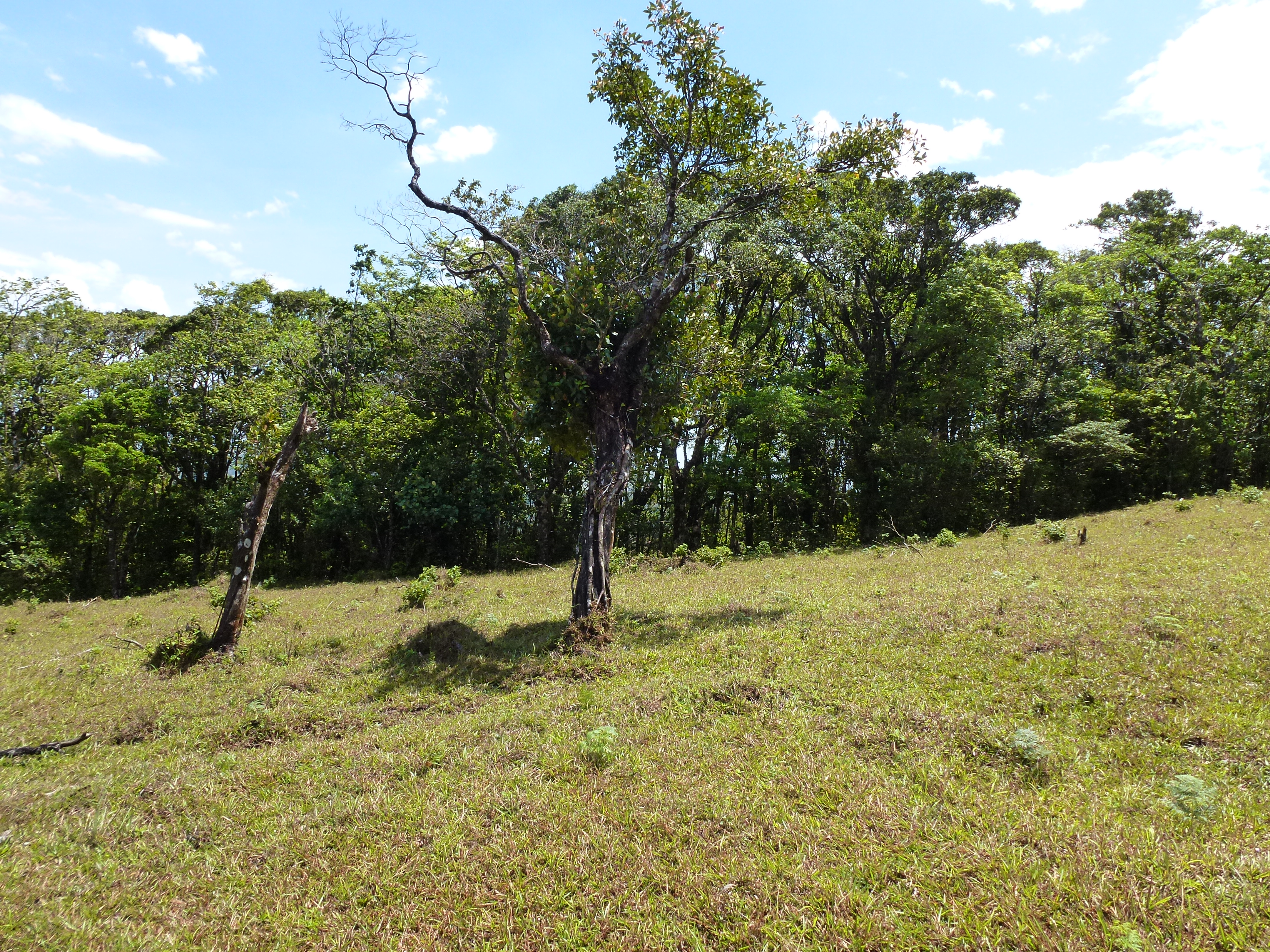 2.26 Acre Lot with Stunning Views Of Lake Arenal and Volcano in Nuevo Arenal  photo 7