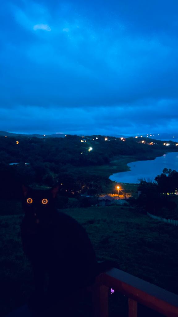 24,500 m2 Lot with Spectacular Lake and Volcano Views in Tronadora photo 6