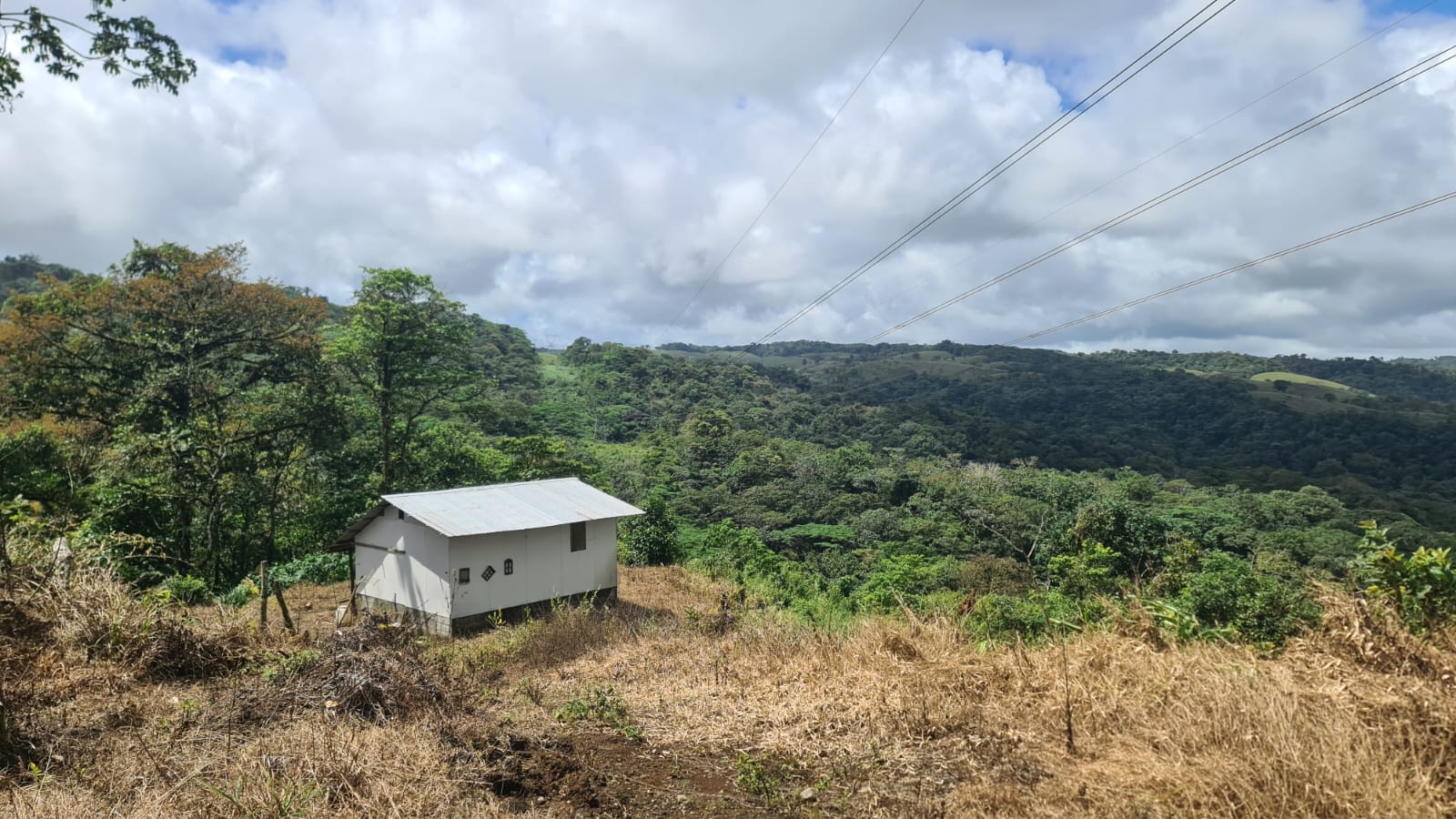 33 Hectare (81.5 acre) Property with Volcano Views in San Carlos, Alajuela photo 14